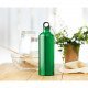 Botella de aluminio Big Moss
