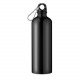 Botella de aluminio Big Moss