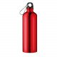 Botella de aluminio Big Moss