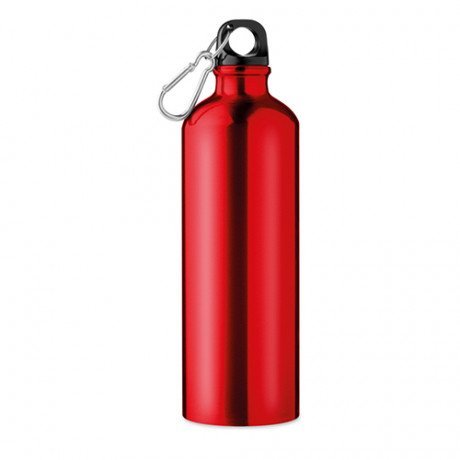 Botella de aluminio Big Moss