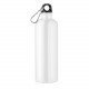 Botella de aluminio Big Moss