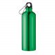 Botella de aluminio Big Moss