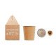 Set pino Growtree