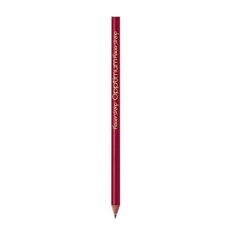 BIC  Evolution Classic Cut Ecolutions lápiz