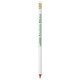 BIC  Evolution Classic Ecolutions lápiz