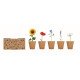 Kit cultivo de flores Flowers