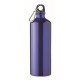 Botella aluminio Moss Large