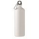 Botella aluminio Moss Large